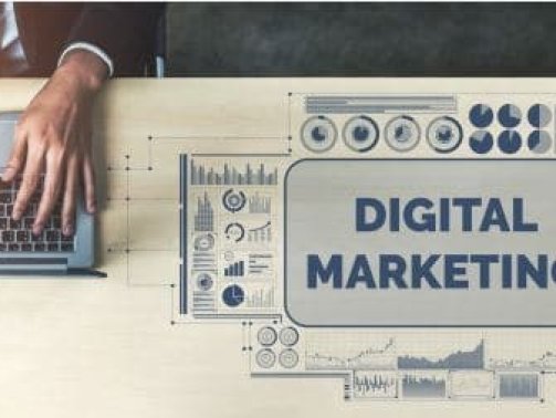 Why choose Digital Marketing as a career?